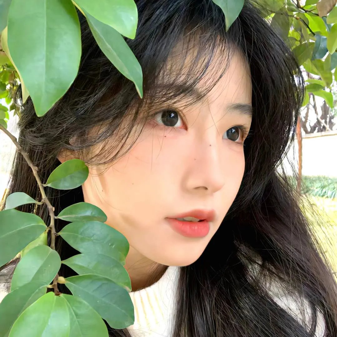 康家大院的新媳妇